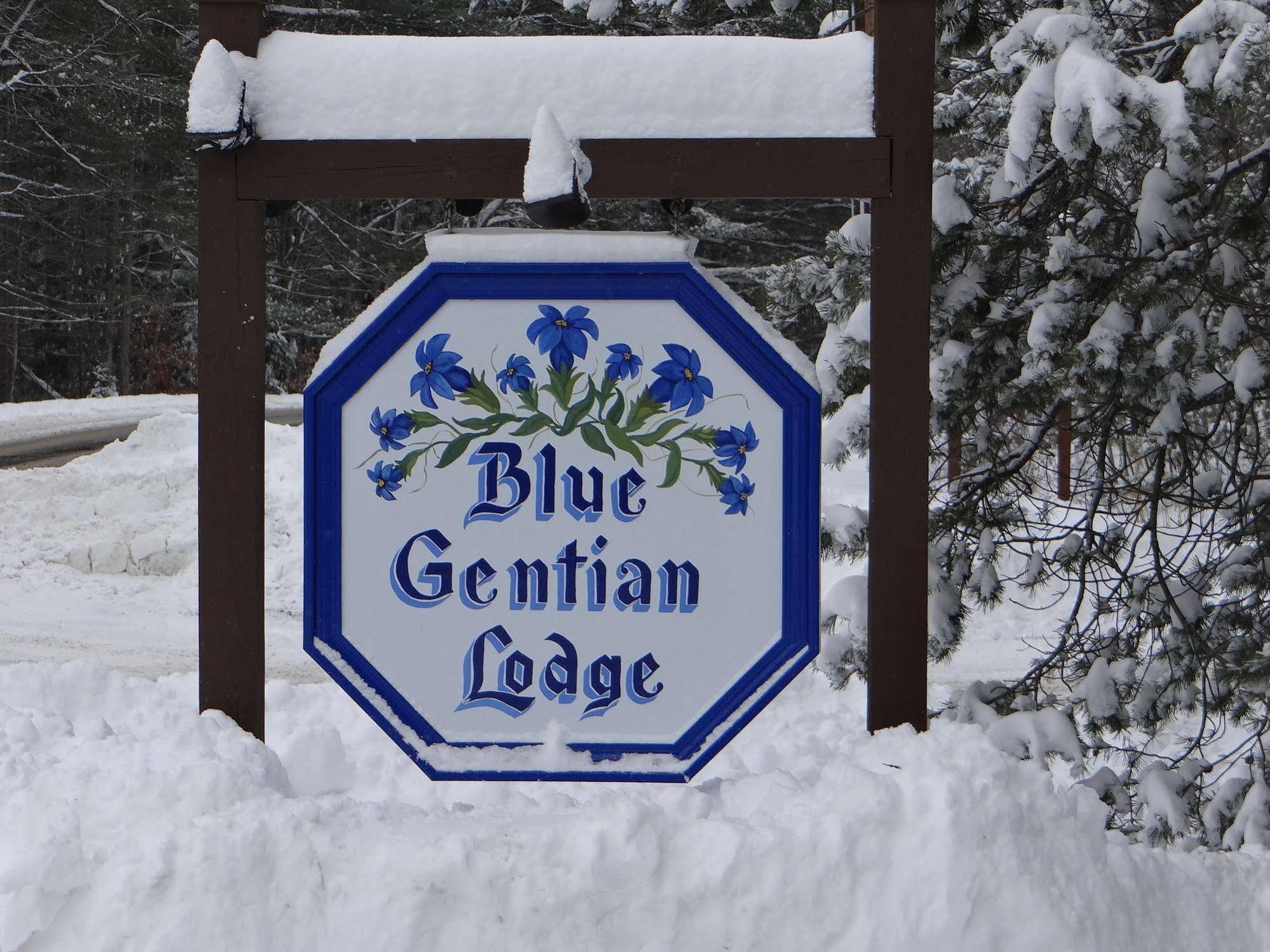 Blue Gentian Lodge At Magic Mountain 런던데리 외부 사진