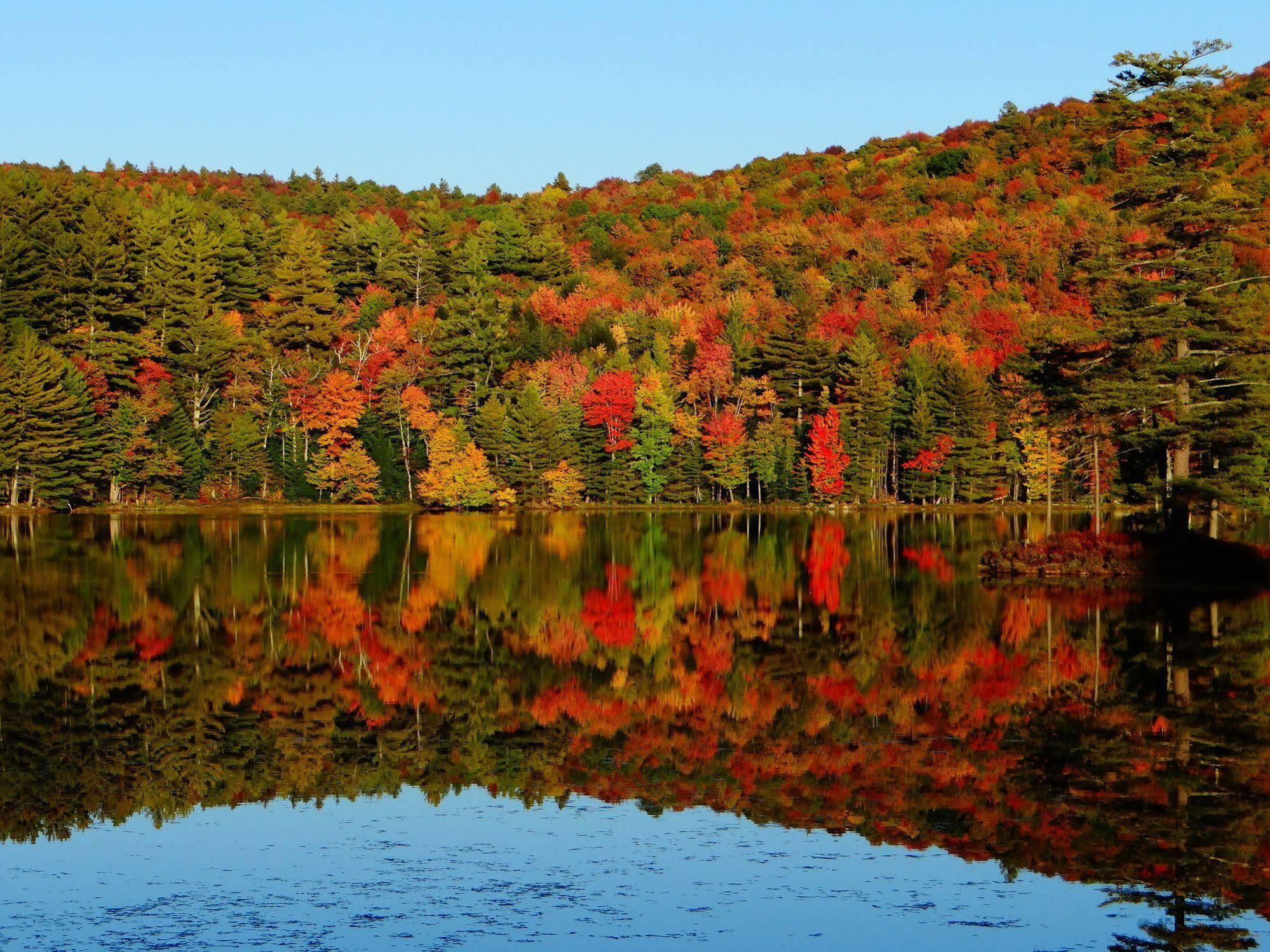 Blue Gentian Lodge At Magic Mountain 런던데리 외부 사진