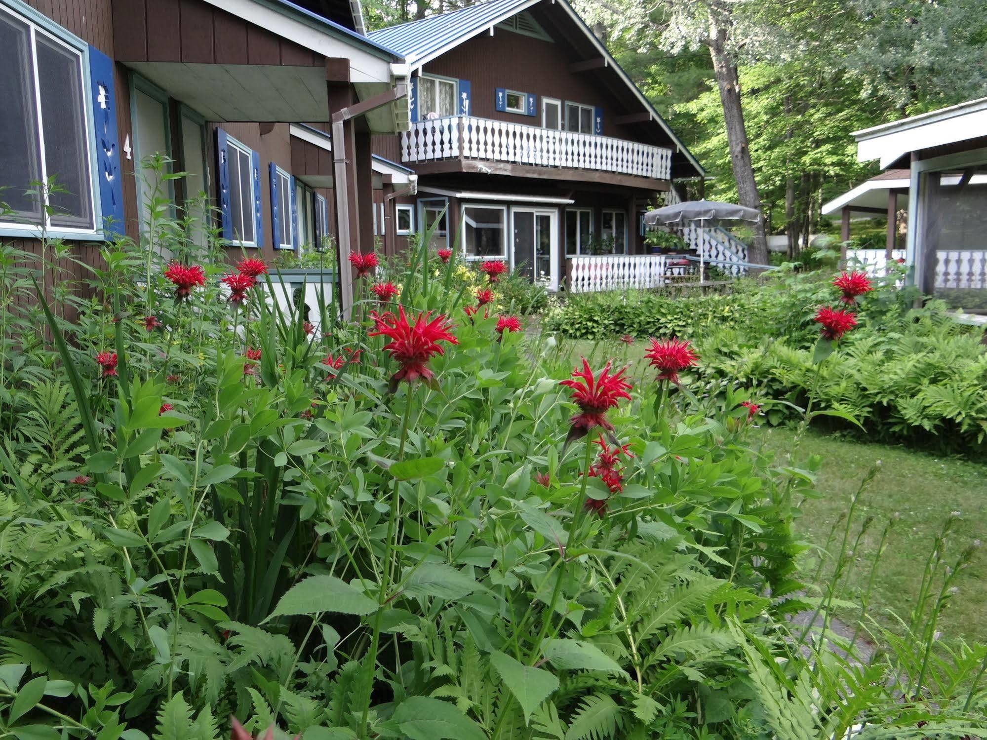 Blue Gentian Lodge At Magic Mountain 런던데리 외부 사진